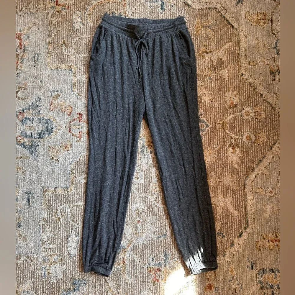 Express sparkly Gray Joggers